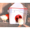 10lb Chick2Chicken BPA-Free 4-Port Chicken Feeder - 2025 Version