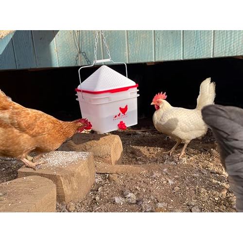 Chick2Chicken 10lb Chicken Feeder and 2 Gal Waterer - 2025 Version