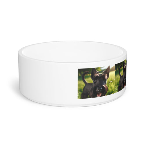 Ceramic Pet Bowl – 16 oz Dog Feeding Bowl