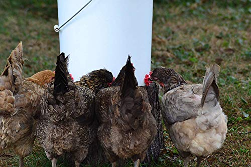 Make Your Own Chicken Waterer Kit - Horizontal Chicken Nipples 12-Pack + Installation Piece