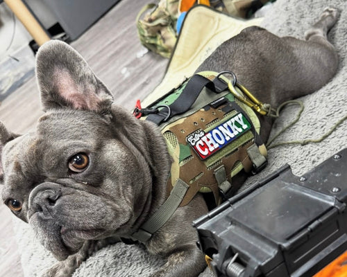 Extra Chonky Morale Patch