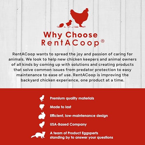 RAC Paws 5 Pound Metal Trough Rabbit Feeder 32 Ounce (1 Liter) Drinker Set