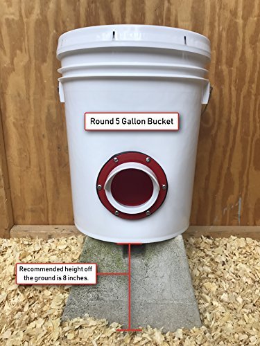 DIY Chicken Feeder