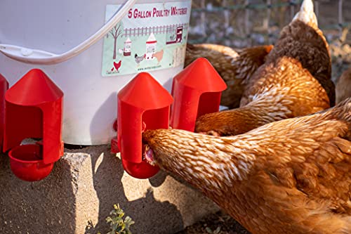 Anti-Dirt Cup Covers - Compatible with ALL RentACoop DIY Auto-Fill Cups and Chicken Waterers