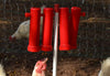 RentACoop Large Chicken Treat Dispenser 2025 Version