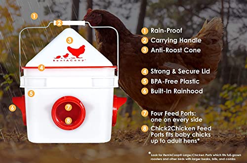 10lb Chick2Chicken BPA-Free 4-Port Chicken Feeder - 2025 Version