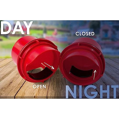 Chick2Chicken 10lb Chicken Feeder and 2 Gal Waterer - 2025 Version