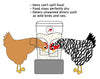 RentACoop 25lb BPA-Free Chicken Feeder with Large Ports - 2025 Version