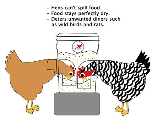 RentACoop 25lb BPA-Free Chicken Feeder with Large Ports - 2025 Version