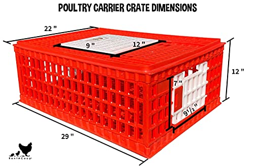 Poultry Carrier Crate 29 L x 22 W x 12 H for Chickens