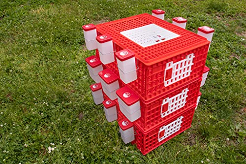 Poultry Carrier Crate 29 L x 22 W x 12 H for Chickens