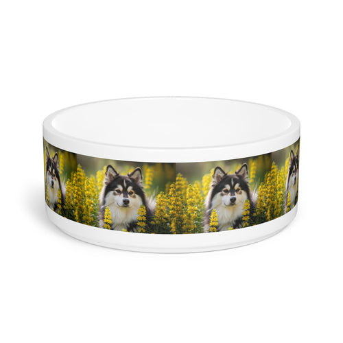 Ceramic Pet Bowl – 16 oz Dog Feeding Bowl