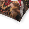 Holiday Fireplace Cozy Pet Bed