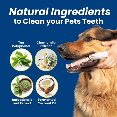 3-Pack Hygiene Bundle – Pet Dental, Ear, & Eye Finger Wipes