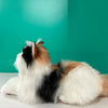 Plush Calico Cat Order to Make