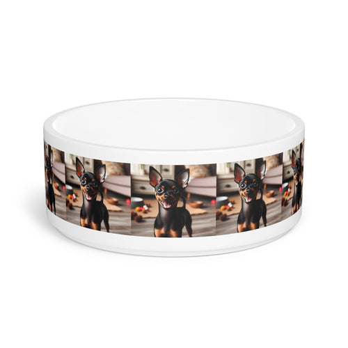 Ceramic Pet Bowl – 16 oz Dog Feeding Bowl