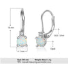 Simple Earrings S925 Silver Jewelry Women's Round