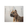 Bully Kutta Blanket