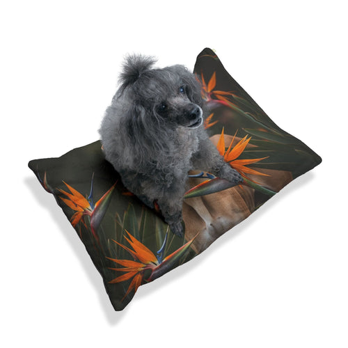 Pet Bed – Plush Dog Bed, 3 Size Options