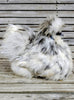Silkie Hatching Eggs- Hens Choice