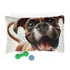 Pet Bed – Plush Dog Bed, 3 Size Options