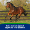 Farnam Equine Weight Builder 7.5 lbs Weight Support Supplement for Horses