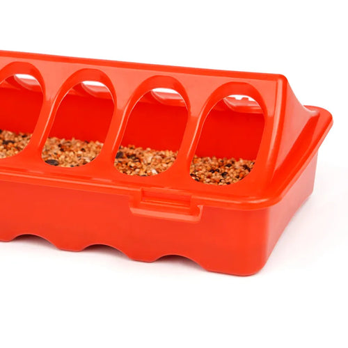 Little Giant 20 Plastic Flip-Top Poultry Ground Feeder, Red Chickens Birds