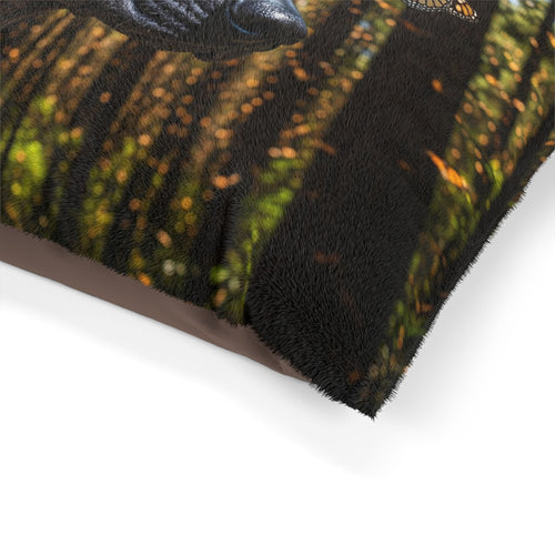 Xoloitzcuintli Pet Bed