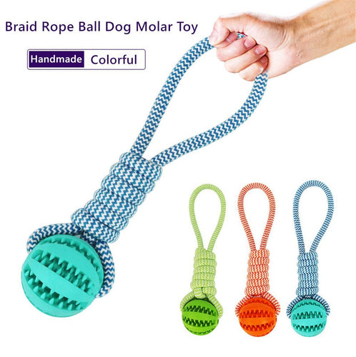 Interactive Bite Resistant Dog Chew Toy