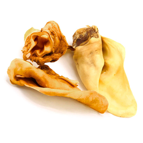Cow Ears, Varied Sizes/Shapes, 50 Count Bulk Pack