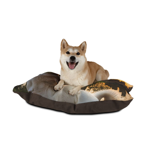 Thai Bangkaew Dog Pet Bed