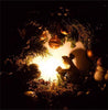 Creative Nordic Resin Mouse Table Lamp Desk LED Night Lights Small Mini Rat Desk Lamps