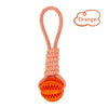 Interactive Bite Resistant Dog Chew Toy