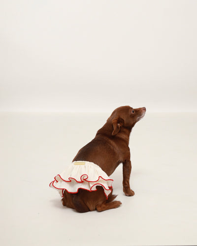 Ivory Contrast Skirt