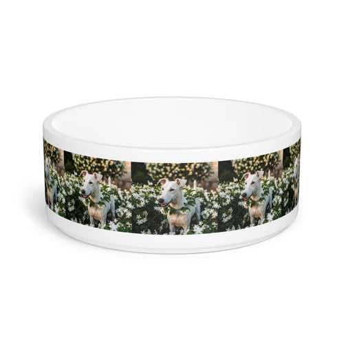 Ceramic Pet Bowl – 16 oz Dog Feeding Bowl