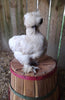 Silkie Hatching Eggs- Hens Choice