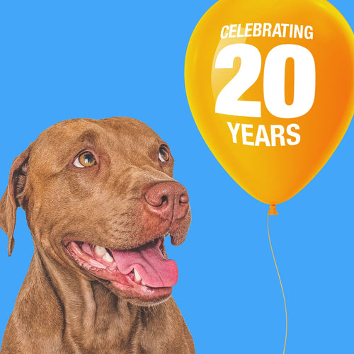 ValueBull USA Turkey Tendons Dog Treats, 3 Pounds