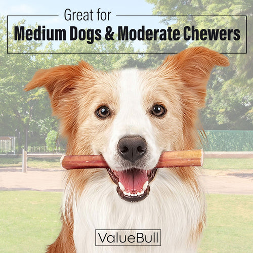 ValueBull Bully Sticks for Dogs, Medium 6 Inch, 100 Count Bulk Pack