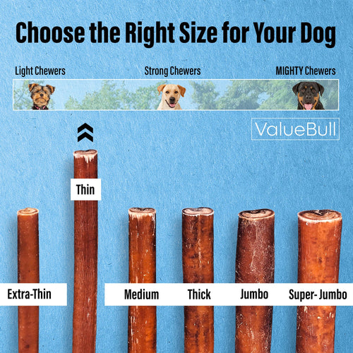 Bully Sticks for Small Dogs, Thin 6 Inch, 100 Count Bulk Pack