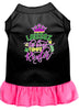 Pet Dress Laissez Les Bons Temps Rouler