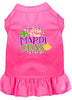 Pet Dress Little Miss Mardi Gras