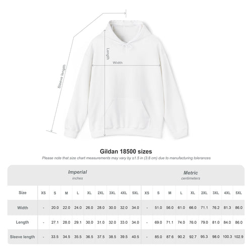 Hoodie — FUR DIVISION NYC 212 Graphic Pullover