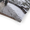 Japanese Chin Pet Bed
