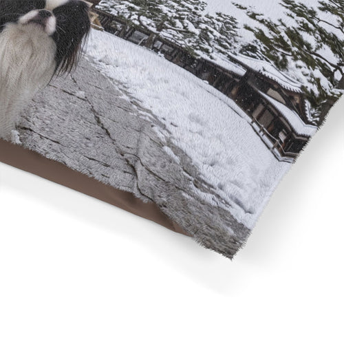Japanese Chin Pet Bed