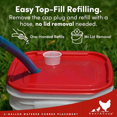 RentACoop 2 Gallon Chicken Waterer with 4 Cups and 4 Nipples - Corner Placement