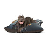 Xoloitzcuintli Pet Bed