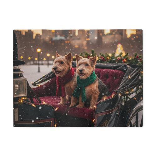 Holiday Carriage Blanket