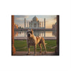 Bully Kutta Blanket
