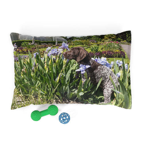 Pointer Dog Pet Bed