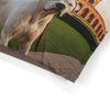 Gull Dong Pet Bed